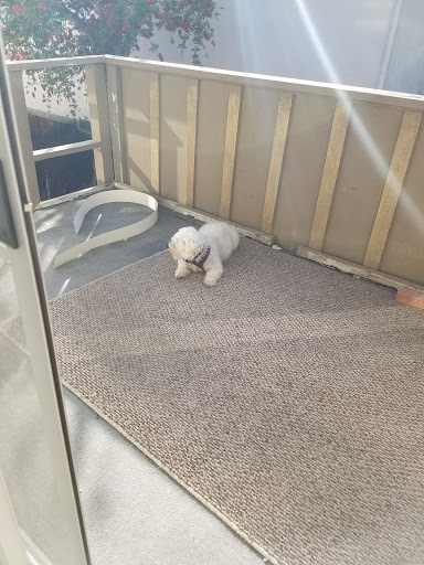 Shopping Mall «Westcliff Plaza», reviews and photos, 1000-1150 Irvine Ave, Newport Beach, CA 92660, USA