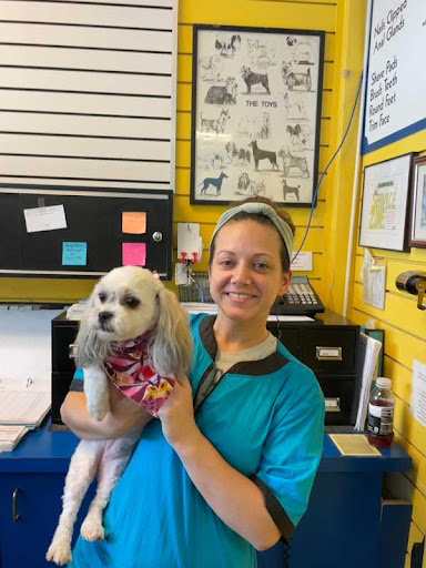 Pet Supply Store «Ridge Dog Shop», reviews and photos, 1505 N Parham Rd, Richmond, VA 23229, USA