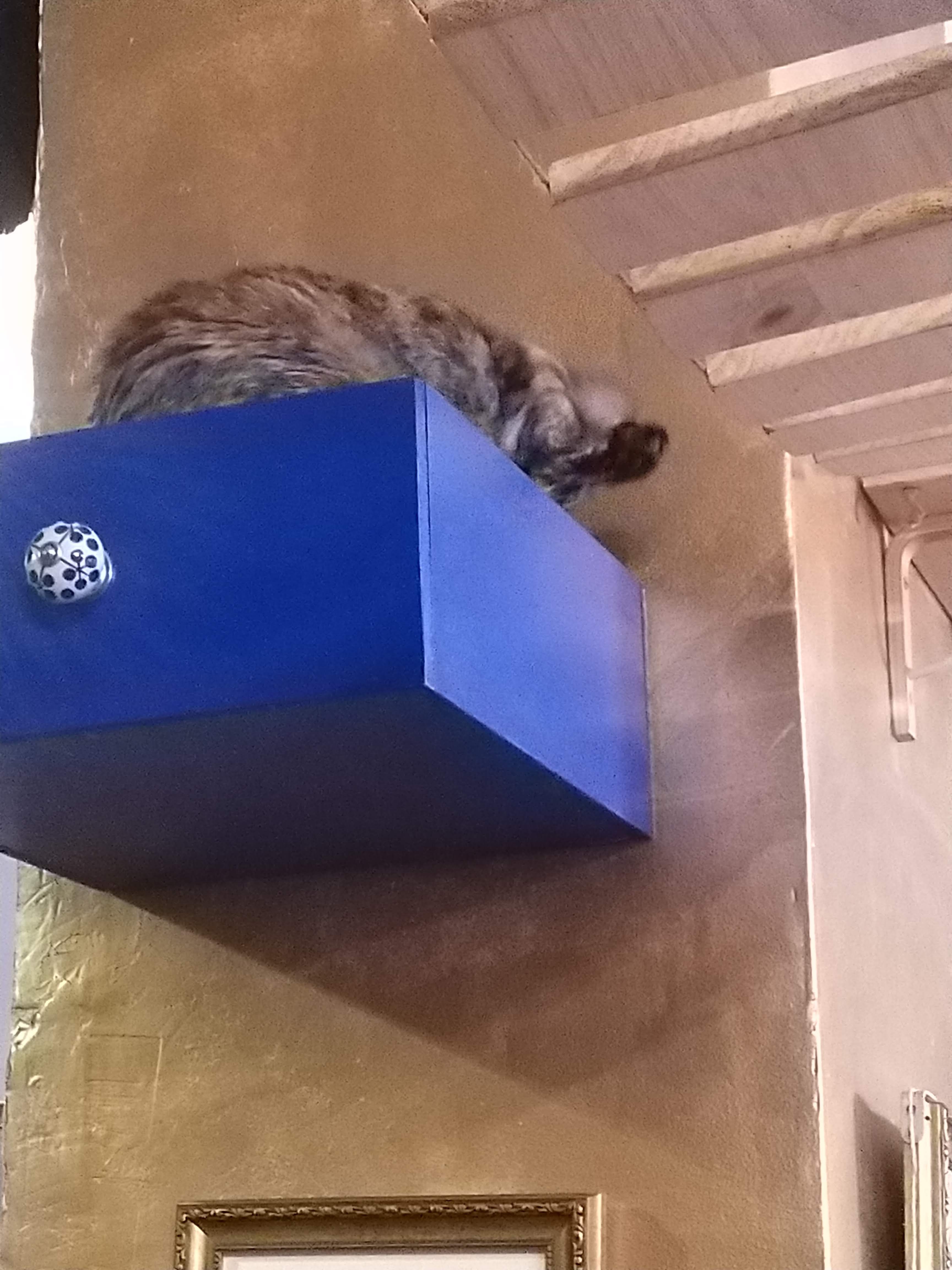 Photo n° 6 de l'avis de M... fait le 23/06/2019 à 19:26