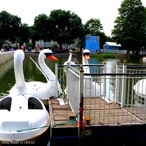 Tourist Attraction «Leonhardt Lagoon Nature Walk», reviews and photos, 1121 1st Ave, Dallas, TX 75210, USA