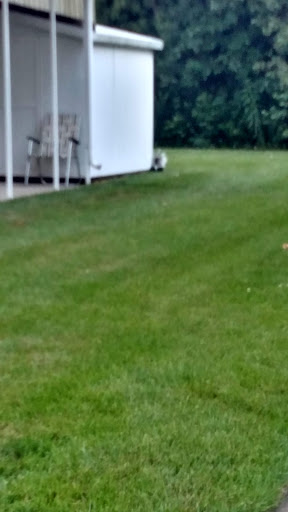 Nature Preserve «Greenbelt Forest Preserve», reviews and photos, 1110 S Green Bay Rd, North Chicago, IL 60035, USA