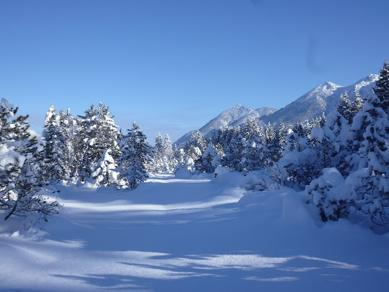 Photos du propriétaire Ferienwohnung Haus Bergmann 82499 Wallgau