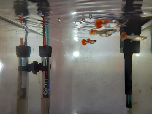 Pet Supply Store «Milwaukee Aquatics», reviews and photos, 3946 S Howell Ave, Milwaukee, WI 53207, USA