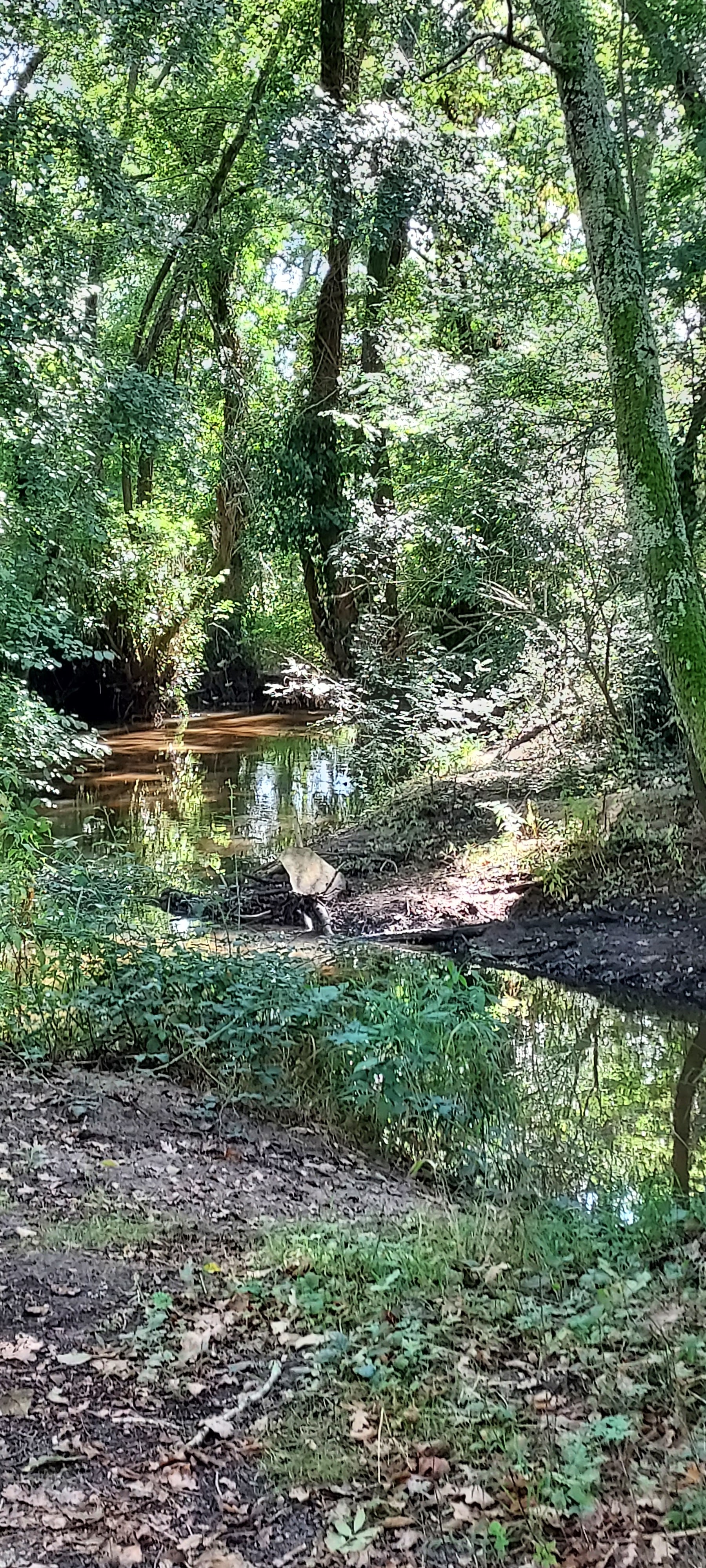 Photo n° 11 de l'avis de Florence.R fait le 04/10/2021 à 07:14