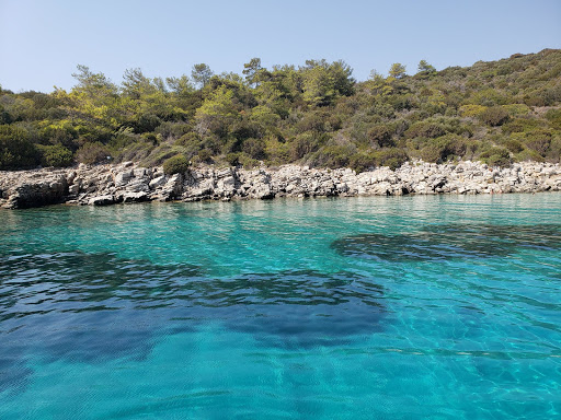 Bayside & Tora Boat Trips