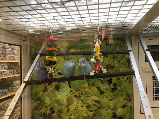 Pet Supply Store «PetSmart», reviews and photos, 4240 S Mooney Blvd, Visalia, CA 93277, USA