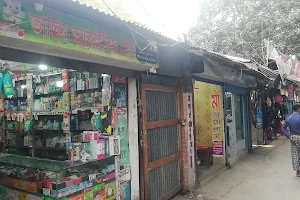 Harinathpur Bandar, Hizla, Barishal image