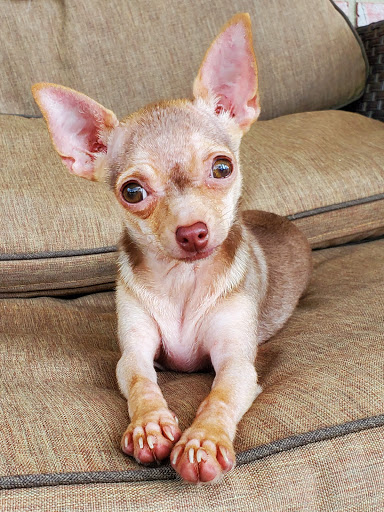 Bluewater Bay Animal Hospital image