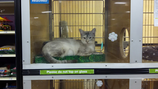 Pet Supply Store «PetSmart», reviews and photos, 150 Glynn Isle, Brunswick, GA 31525, USA