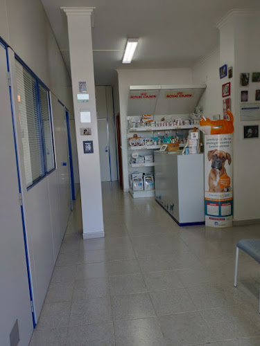 clinica veterinária do Estacal Novo - Veterinário