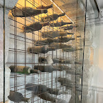 Photo n°5 de l'avis de Poena.a fait le 04/07/2023 à 15:05 sur le  La Speranzina Restaurant & Relais à Sirmione