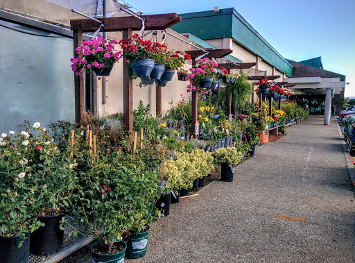 Hardware Store «Orchard Supply Hardware», reviews and photos, 5130 Mowry Ave, Fremont, CA 94538, USA