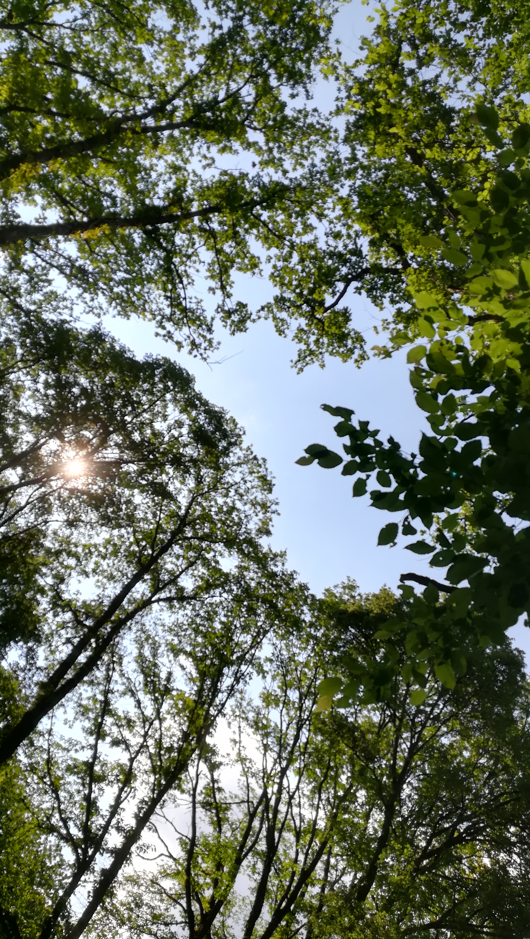 Photo n° 2 de l'avis de Di.a fait le 24/05/2018 à 08:02