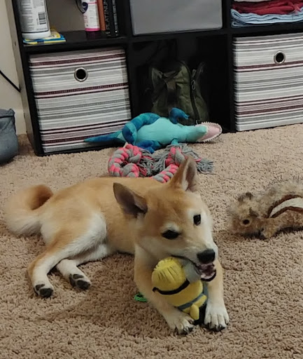 6401 Shiplett Blvd, Burke, VA 22015, USA