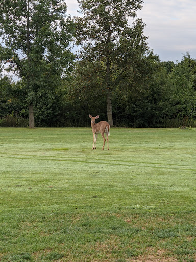 Golf Course «Jamaica Run Golf Club», reviews and photos, 8781 Jamaica Rd, Germantown, OH 45327, USA