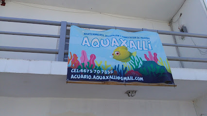 Acuario Aquaxalli