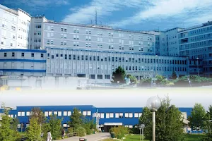 Company Socio - Cremona Territorial Health image