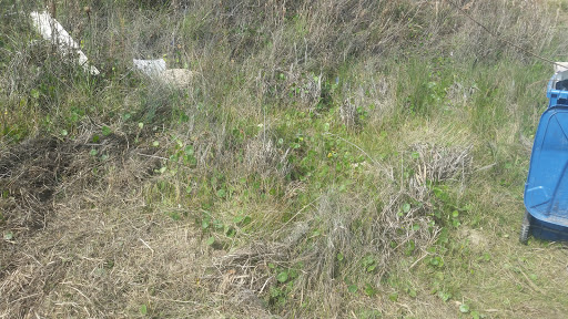 Beach Resort «Sandcastle Condominiums & Event Center», reviews and photos, 800 Sandcastle Dr, Port Aransas, TX 78373, USA