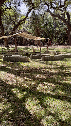 Local History Museum «Museum of Texas Handmade Furniture», reviews and photos, 1370 Churchill Dr, New Braunfels, TX 78130, USA