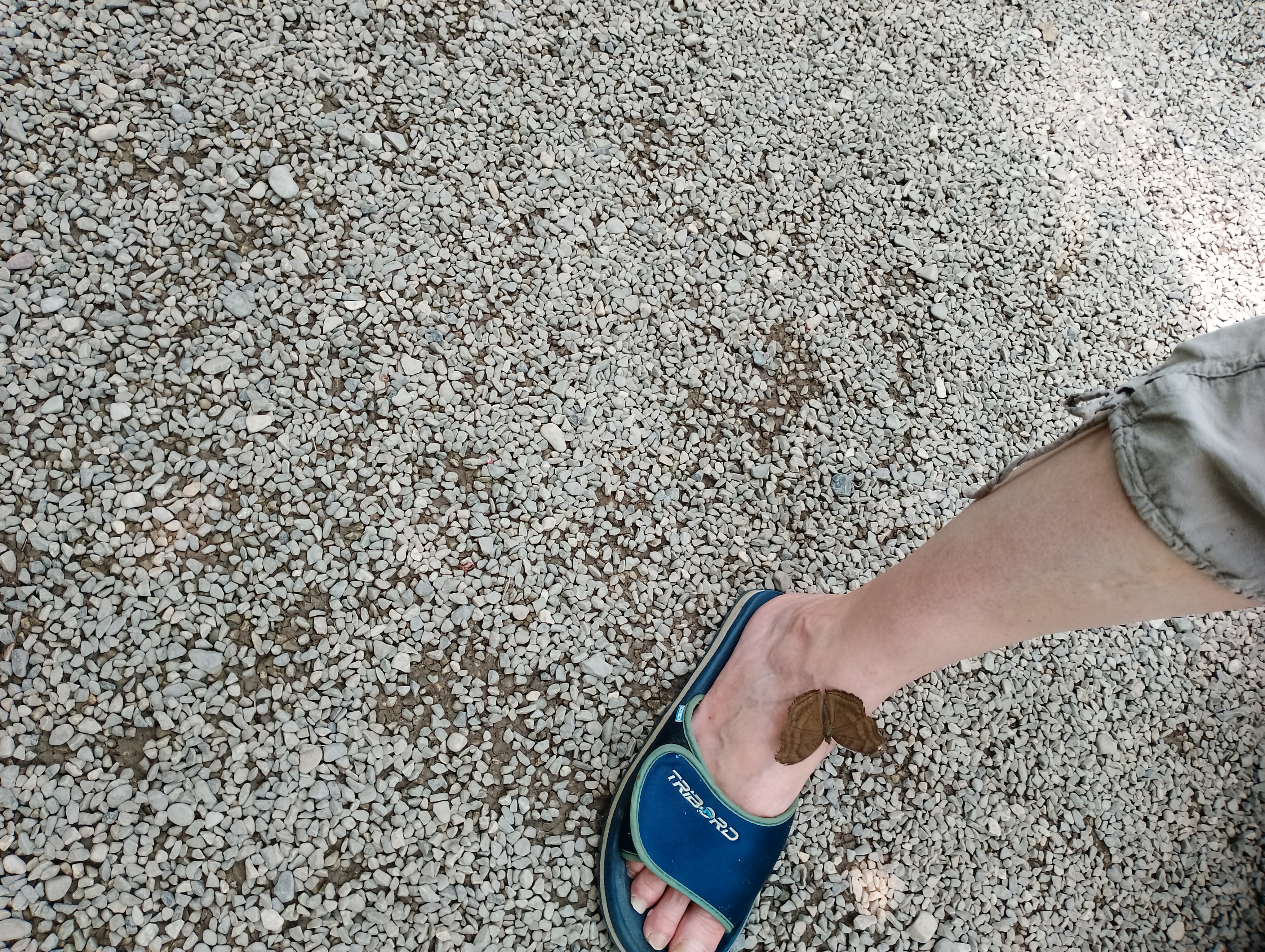 Photo n° 2 de l'avis de Gege.T fait le 22/07/2023 à 13:41