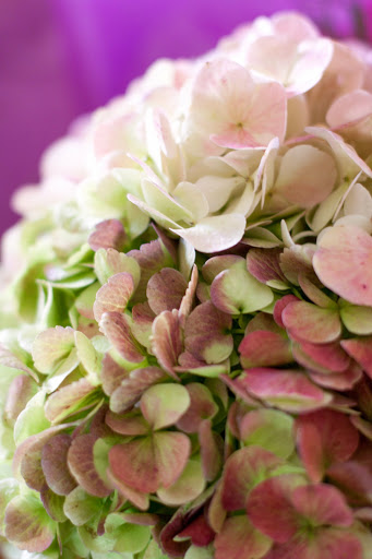 Florist «Lake Zurich Florist», reviews and photos, 34 E Main St, Lake Zurich, IL 60047, USA