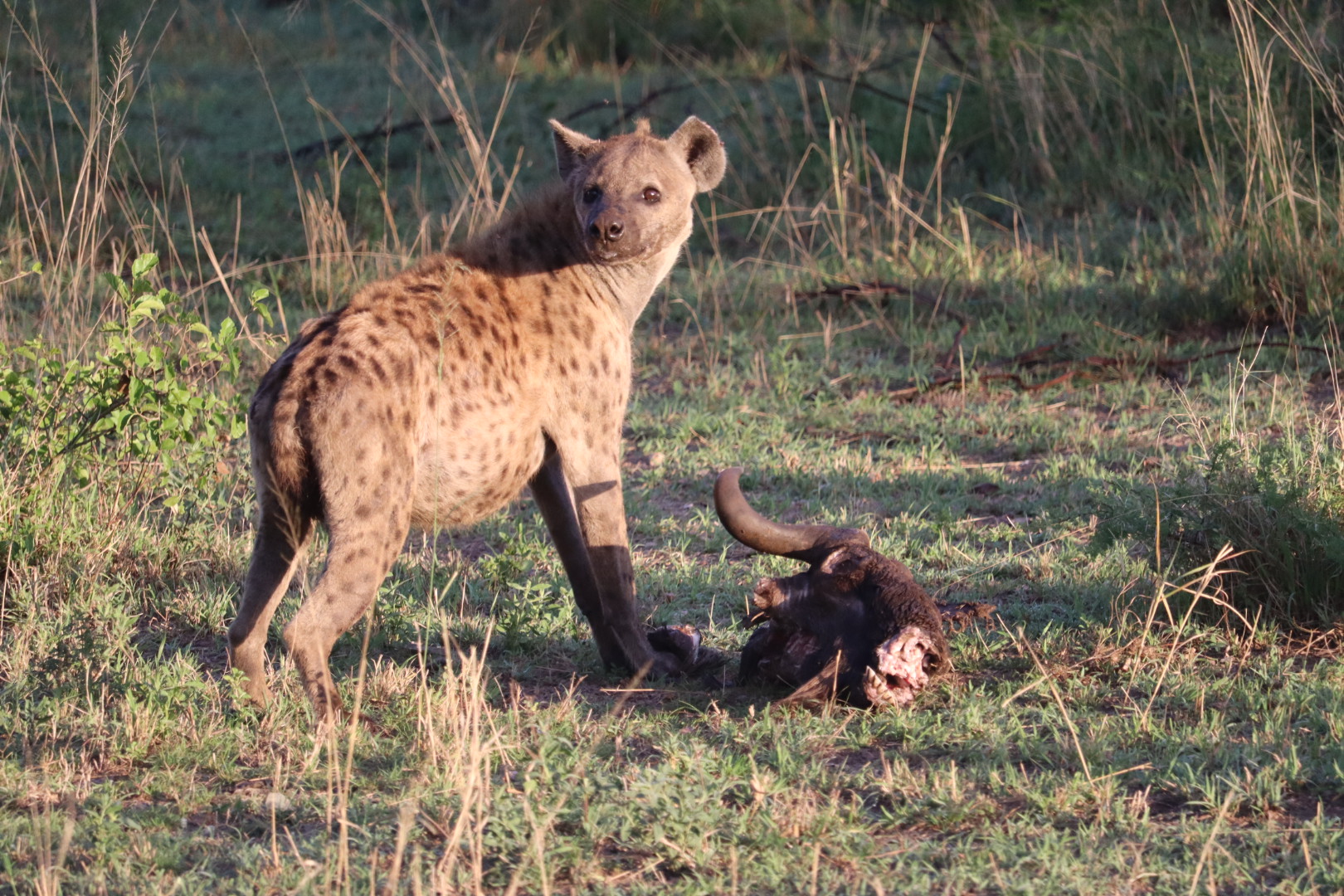 Photo n° 3 de l'avis de Axelle. fait le 13/10/2023 à 20:21