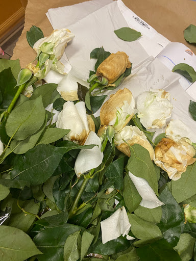 Travis Wholesale Florists, 240 W Josephine St, San Antonio, TX 78212, USA, 