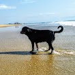 Dog Friendly Beach access 226-247