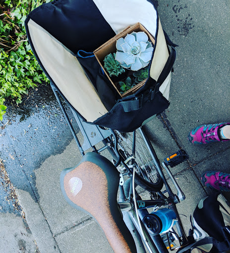 Florist «The Flower Lady», reviews and photos, 3230 Eastlake Ave C, Seattle, WA 98102, USA