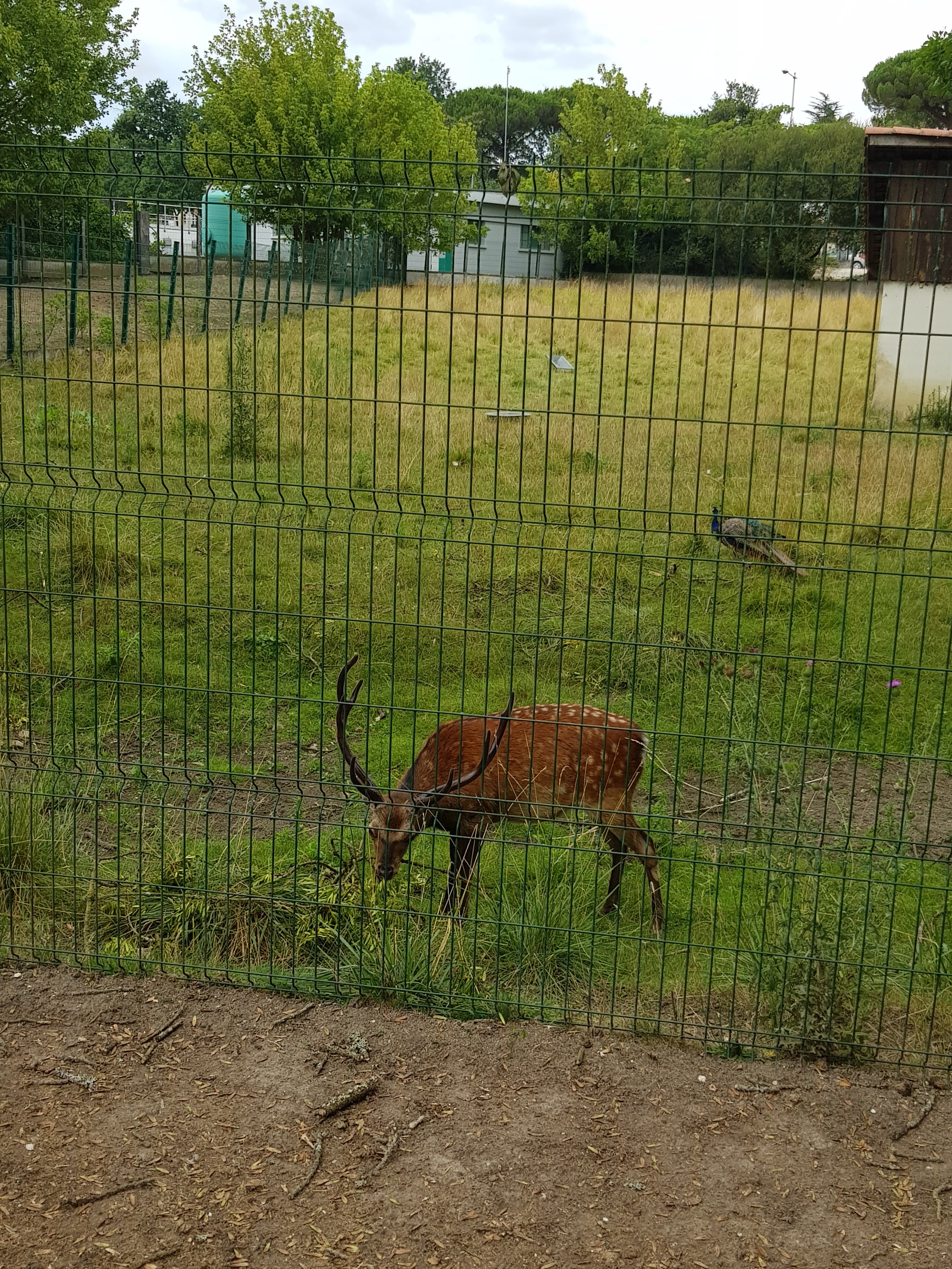 Photo n° 3 de l'avis de Roxane.o fait le 18/08/2019 à 18:56