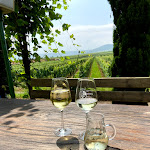 Photo n°1 de l'avis de Ingrid.l fait le 17/07/2021 à 17:40 sur le  H. Jostock à Köwerich