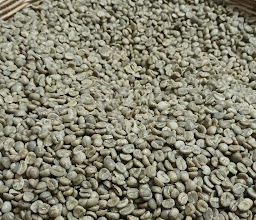 AKHA ADONAI COFFEE photo
