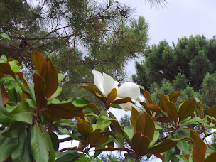 Photo n°35 de Isulella Hotel & Restaurant à Porto-Vecchio ()