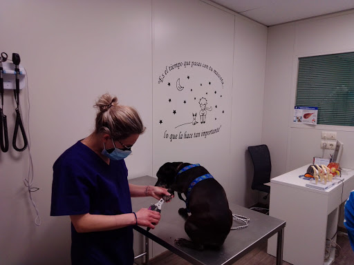 Técnicas Veterinarias en Burjassot