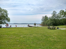 Photo de Badestelle Pulsen avec un rivage droit