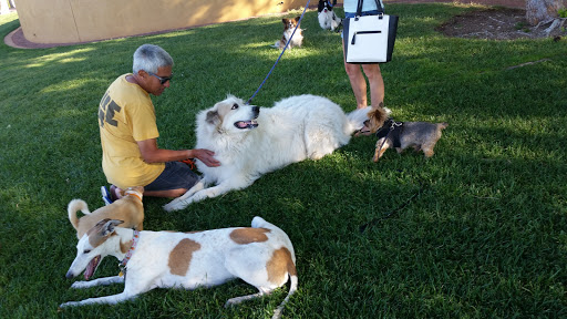 Park «The Hills Park», reviews and photos, 9100 Hillpointe Rd, Las Vegas, NV 89134, USA