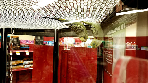 Pet Supply Store «Petco Animal Supplies», reviews and photos, 85 State St, Orem, UT 84058, USA