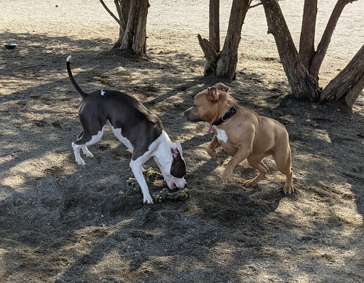 Dog Park «Rock Hill District Park», reviews and photos, 15150 Old Lee Rd, Chantilly, VA 20151, USA