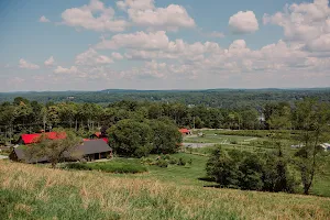 Red Maple Vineyard image