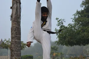 District Taekwondo Martial Art Association Morena (Joura) image