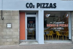 CO2 pizzas image
