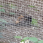 Photo n°18 de l'avis de Alessio.e fait le 22/04/2018 à 19:46 sur le  Parc Gallorose à Loc. Cedrino