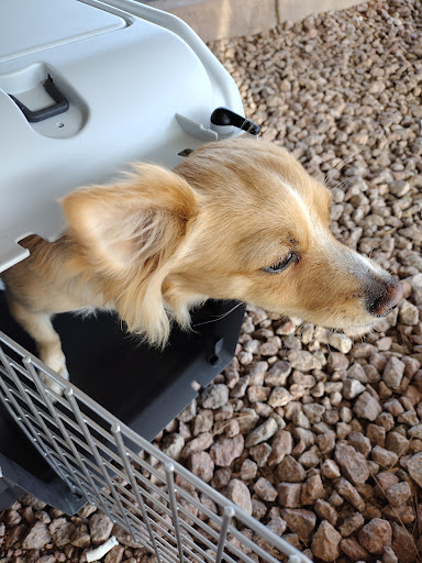 20635 N Cave Creek Rd, Phoenix, AZ 85024, USA