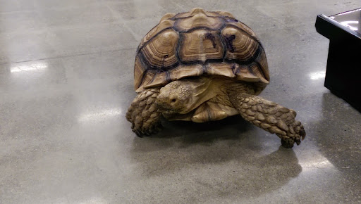 Pet Supply Store «Petco Animal Supplies», reviews and photos, 190 Quality Dr, Hooksett, NH 03106, USA