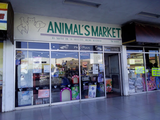 Animals Market