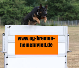 DVG Bremen Hemelingen photo