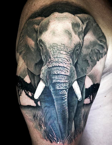 Tattoo Shop «Tried and True Tattoo», reviews and photos, 2289 Peachtree Rd, Atlanta, GA 30309, USA