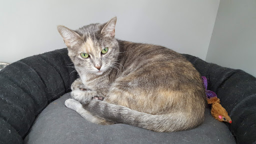 Pet Supply Store «Pet Supplies Plus», reviews and photos, 1433 E Main St, Owosso, MI 48867, USA