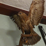 Photo n°2 de l'avis de Michael.n fait le 11/02/2024 à 18:00 sur le  Gasthof Lindl / Schanuk à Weyarn