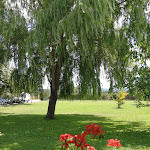 Photo n°2 de l'avis de Raffaele.i fait le 29/07/2020 à 16:02 sur le  La Cascina à Villa Scontrone